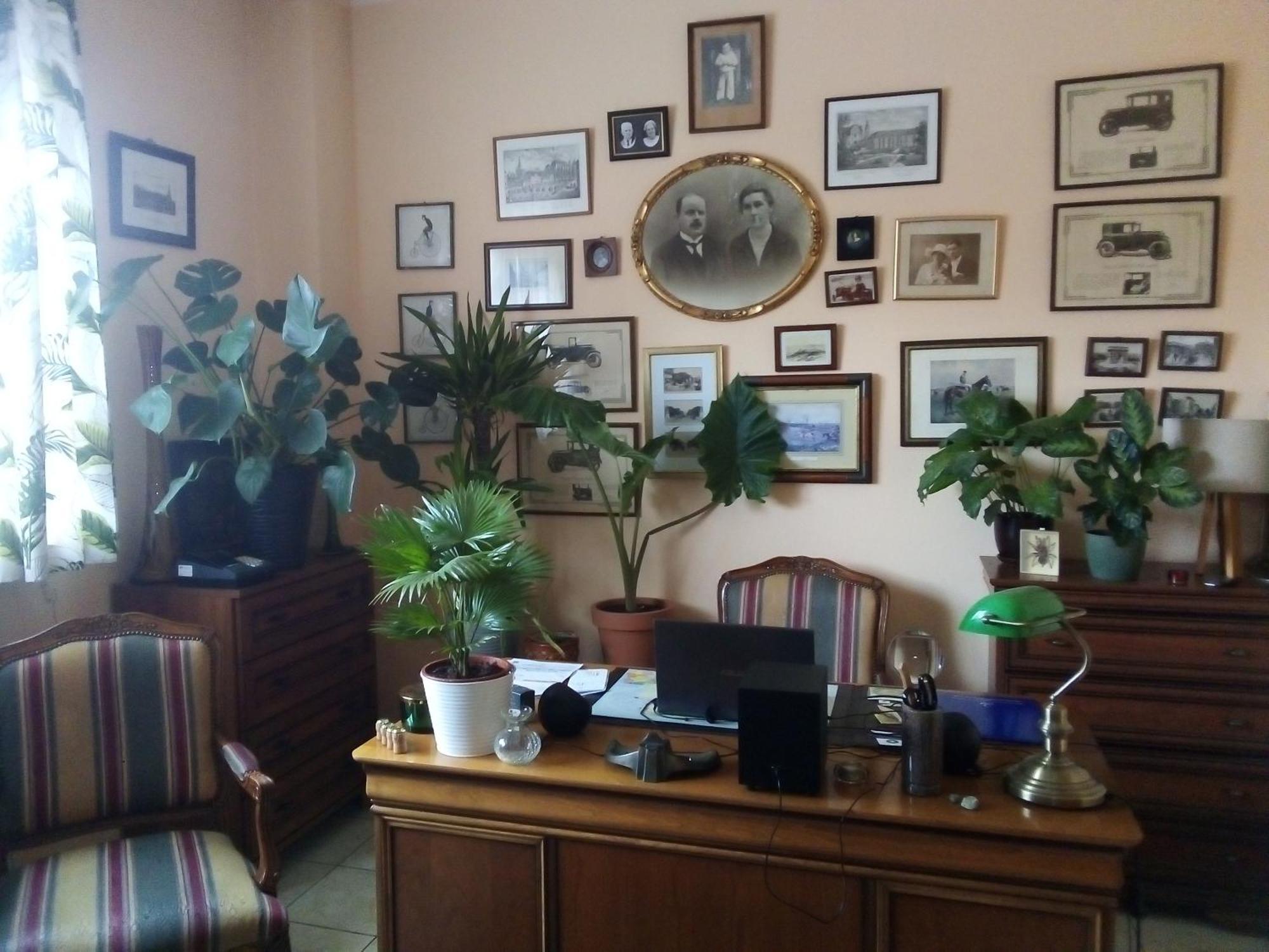 זיילונה גאורה Villa Minerva מראה חיצוני תמונה